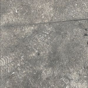 Meet your Posher, Kurtis